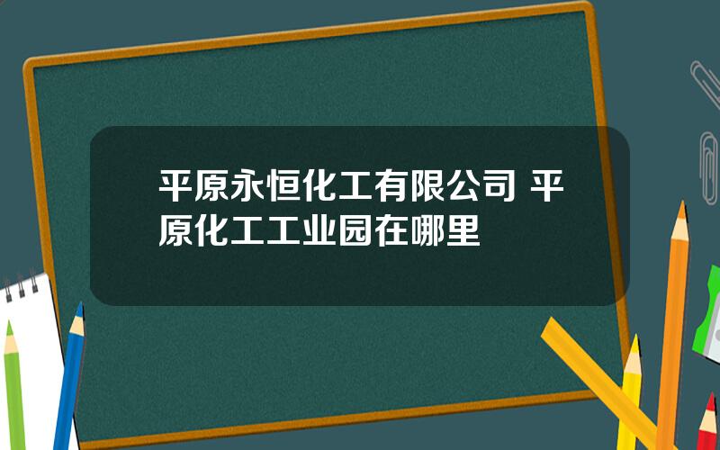 平原永恒化工有限公司 平原化工工业园在哪里